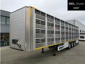 Pezzaioli CIMC / SR03 / 4 Stock / Typ 2 / Ferkeltransporte  - Sơ mi rơ moóc chở gia súc