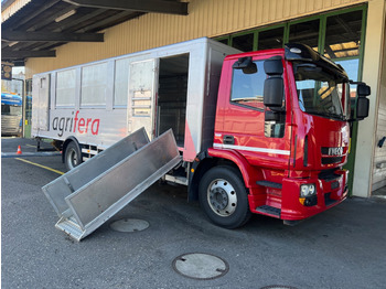 Xe tải chở gia súc IVECO EuroCargo