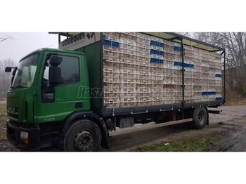Xe tải thùng lửng/ Phẳng IVECO EuroCargo 180E
