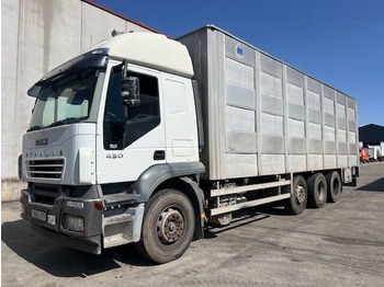 Xe tải chở gia súc IVECO Stralis
