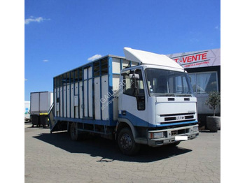 Xe tải chở gia súc IVECO EuroCargo 80E