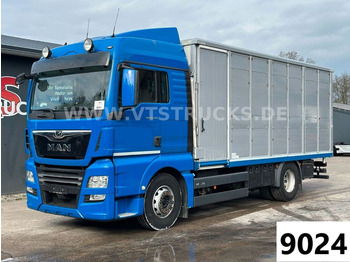 Xe tải chở gia súc MAN TGX 18.500