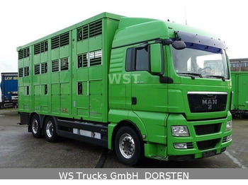 Xe tải chở gia súc MAN TGX 26.480