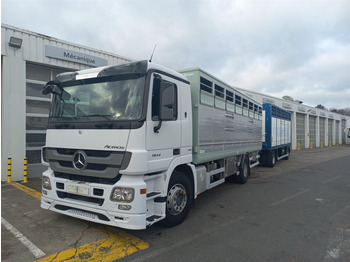 Xe tải chở gia súc MERCEDES-BENZ Actros