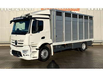 Xe tải chở gia súc MERCEDES-BENZ Actros