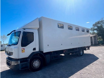 Xe tải chở ngựa RENAULT Premium 280