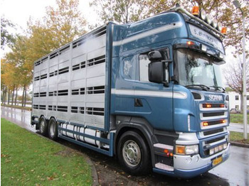 Xe tải chở gia súc SCANIA R 500