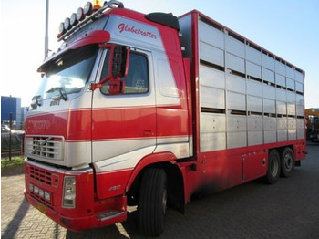 Xe tải chở gia súc VOLVO FH12