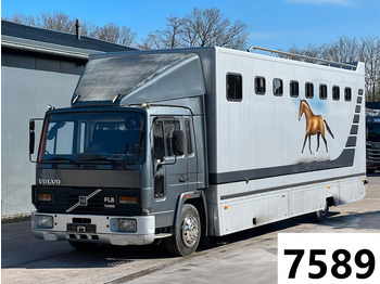Xe tải chở ngựa VOLVO FL6