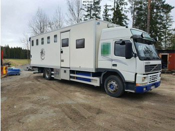 Xe tải chở gia súc VOLVO FM7
