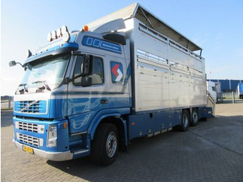 Xe tải chở gia súc VOLVO FM9