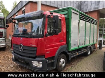 Mercedes-Benz 824L WST Edition"  Einstock Vollalu  - Xe tải nhỏ thùng kín