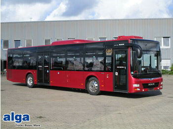 Xe bus đô thị MAN Lions City Ü, A20, Euro 6, 41 Sitze: hình 1