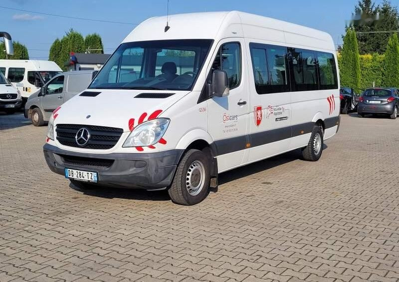 Xe bus mini, Xe van chở khách Mercedes-Benz 513 SPRINTER TRANSFER: hình 24