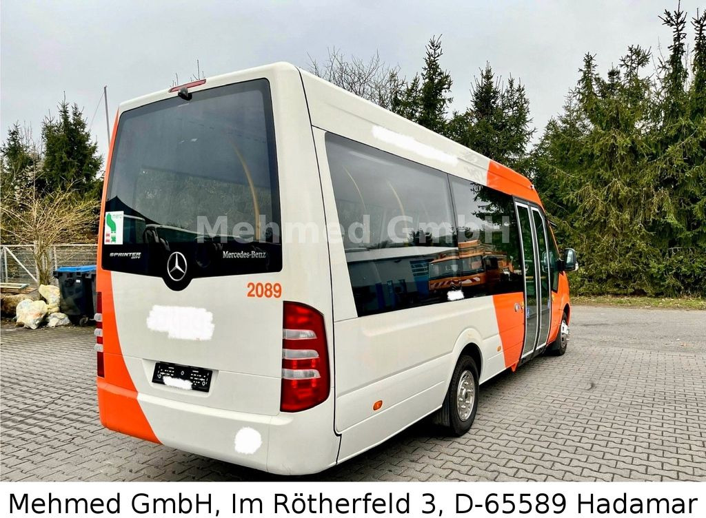 Xe bus mini, Xe van chở khách Mercedes-Benz Sprinter City 65 - mit Rampe: hình 4