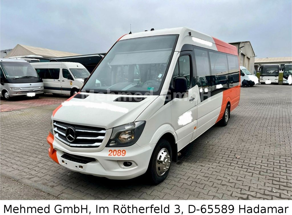 Xe bus mini, Xe van chở khách Mercedes-Benz Sprinter City 65 - mit Rampe: hình 2