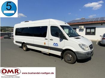 Xe bus mini, Xe van chở khách Mercedes-Benz Sprinter Transfer 55/ Euro 5/ Original-KM: hình 1