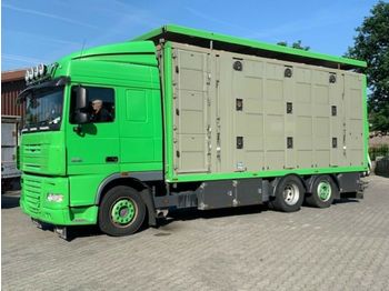 Xe tải chở gia súc DAF  XF 105/460 SC Menke 3 Stock Hubdach: hình 1