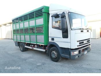 Xe tải chở gia súc IVECO Eurocargo 80E18: hình 1