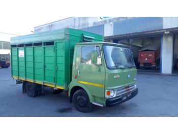 Xe tải chở gia súc IVECO FIAT 50 OM: hình 1