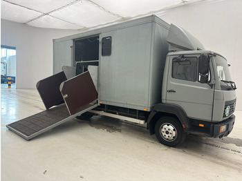 Xe tải chở ngựa Mercedes-Benz 815 Eco Power: hình 3