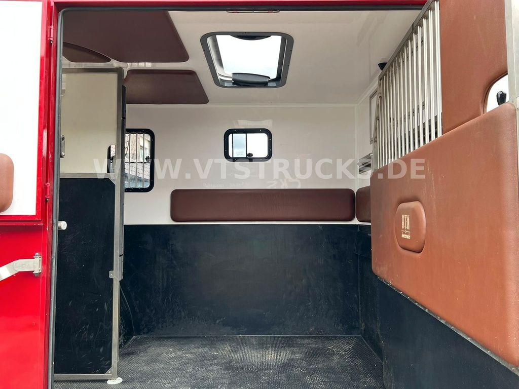 Xe tải chở ngựa, Xe tải nhỏ Renault Master DCI 120 ATM 2.Pferde Transporter: hình 13