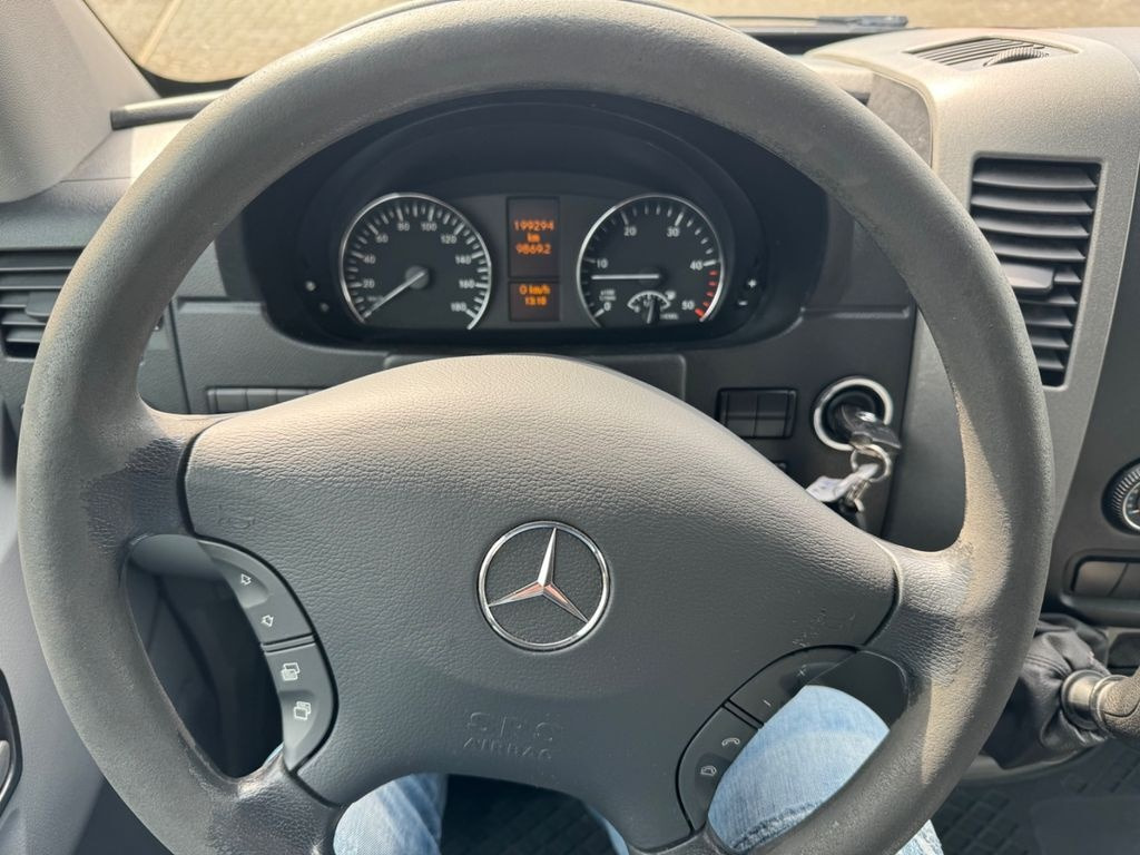 Xe van chở hàng Mercedes-Benz Sprinter 319 CDI Van: hình 13