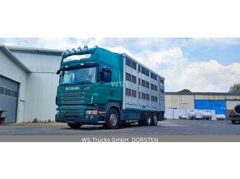 Scania R 440 Topline KABA 3 Stock Hubdach  - Xe tải chở gia súc: hình 1