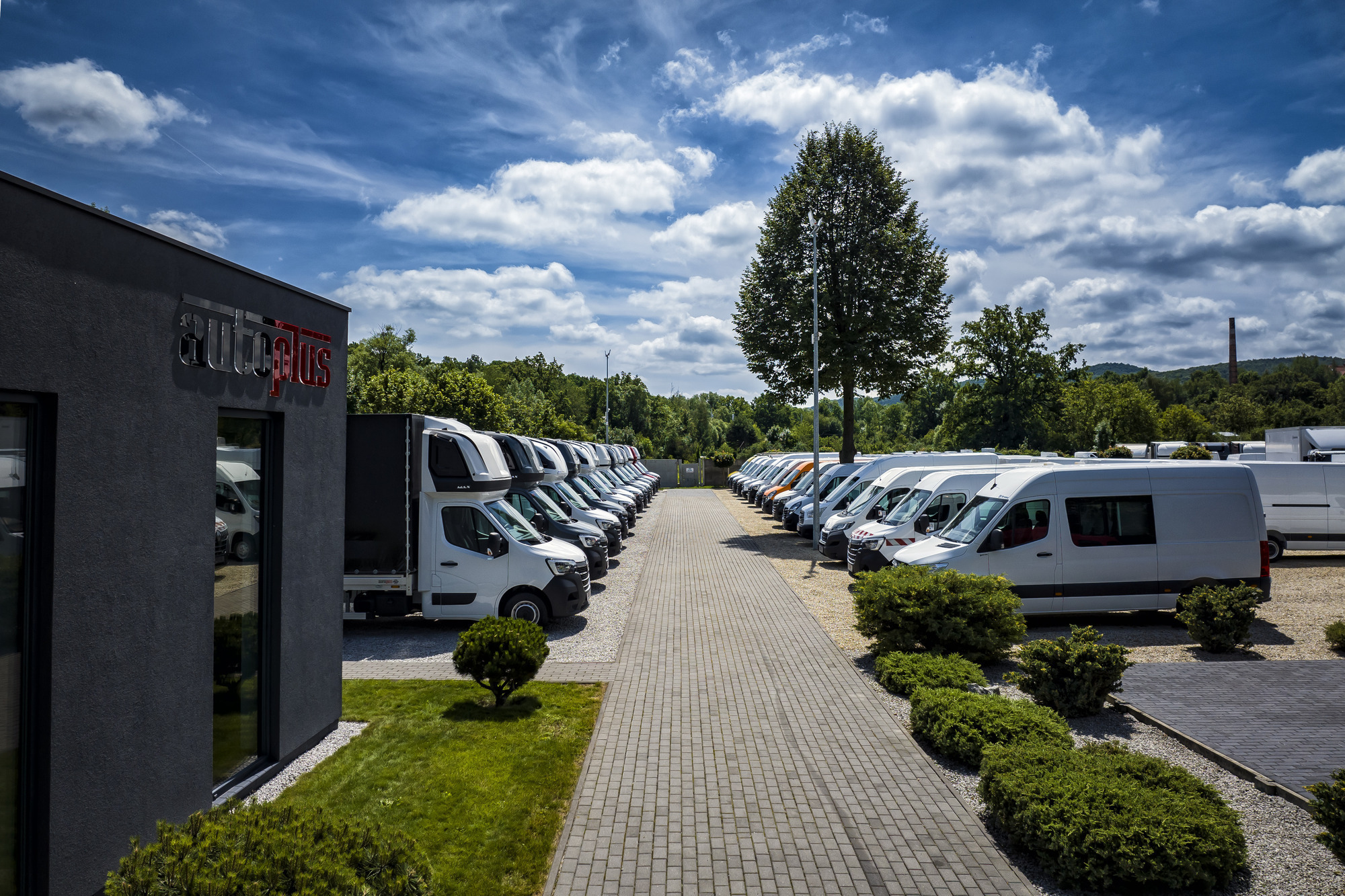 AUTO-PLUS DEALER - Xe tải - Euro 6, hộp số: tự động undefined: hình 3