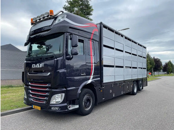 Xe tải chở gia súc DAF XF 460