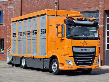 Xe tải chở gia súc DAF XF 530