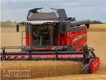 Máy gặt đập MASSEY FERGUSON