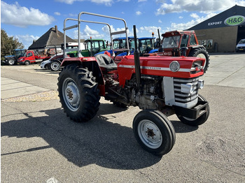 Máy cày Massey Ferguson 165: hình 3
