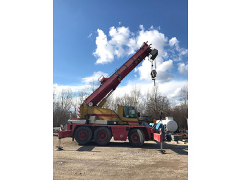 Cẩu bánh lốp DEMAG