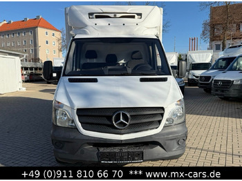 Xe van đông lạnh Mercedes-Benz Sprinter 316 CDi Kühlkoffer Zanotti Tiefkühlung: hình 2
