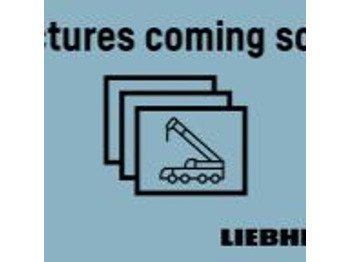 Cẩu bánh lốp LIEBHERR LTM 1050-3.1