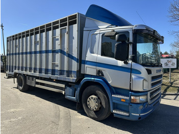 Xe tải hộp SCANIA P 310