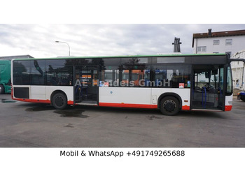Xe bus đô thị Mercedes-Benz Citaro *EEV/33+1/65-Stehplätze/Dachklima: hình 2
