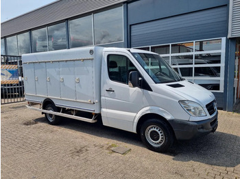 Xe van đông lạnh MERCEDES-BENZ Sprinter 313