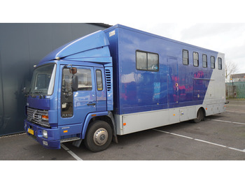 Xe tải chở ngựa Volvo FL 6-9 HORSE TRANSPORT 341.000KM MANUAL GEARBOX: hình 3