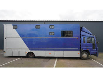 Xe tải chở ngựa Volvo FL 6-9 HORSE TRANSPORT 341.000KM MANUAL GEARBOX: hình 2