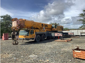 Cần cẩu mọi địa hình LIEBHERR