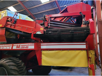 Máy thu hoạch khoai tây Grimme SE 170-60 XL: hình 5