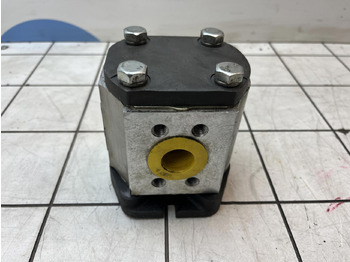 Bơm thủy lực cho Cẩu bánh lốp Rexroth Rexroth sigma gear pump: hình 3