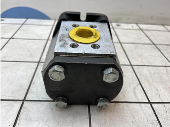 Bơm thủy lực cho Cẩu bánh lốp Rexroth Rexroth sigma gear pump: hình 5