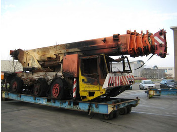 Cẩu bánh lốp TEREX