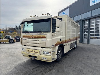 Xe tải chở gia súc DAF CF 410