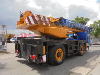 Cần cẩu mọi địa hình PPM ATT 350 4X4X4: hình 4