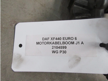 Động cơ và các bộ phận cho Xe tải DAF XF106 1953286 / 2104599 MOTORKABELBOOM J1 A EURO 6: hình 3