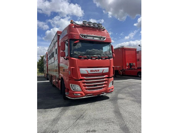 Xe tải chở gia súc DAF XF 460
